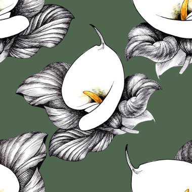 Calla Lily çiçek arka plan