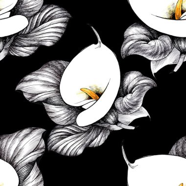 Calla Lily çiçek arka plan