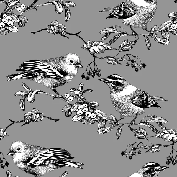 Sömlöst mönster med fåglar — Stockfoto