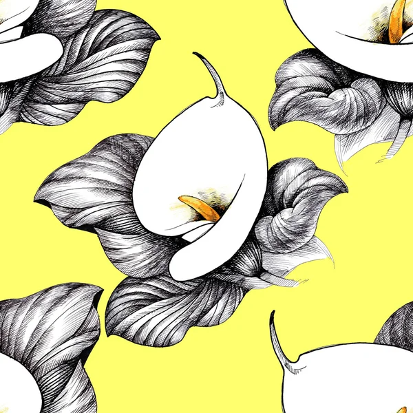 Calla lilly floral background — Stock Photo, Image