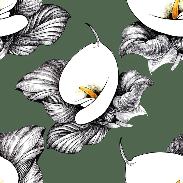 Calla lilly fundo floral — Fotografia de Stock