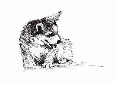 Köpek yavrusu köpek el çekilmiş, siyah ve beyaz illüstrasyon kroki