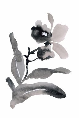 Beyaz arka plan üzerinde izole suluboya Bahçe çiçek Japonca vektör çizim stil.