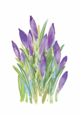 Beyaz bir arka plan üzerinde klasik tarzda suluboya çiçek