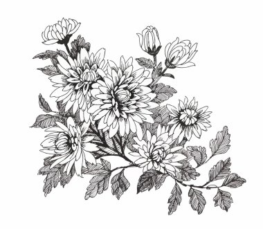 Beautiful monochrome, black and white flower isolated. Hand-drawn contour lines strokes. clipart