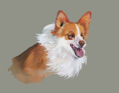 Galce corgi pembroke hayvan köpek suluboya illüstrasyon izole beyaz arka plan üzerinde