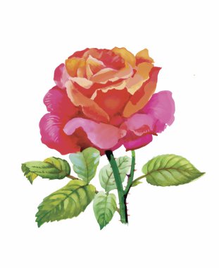 Beyaz bir arka plan üzerinde klasik tarzda suluboya çiçek