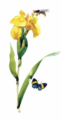 Beyaz bir arka plan üzerinde klasik tarzda suluboya çiçek