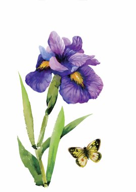 Beyaz bir arka plan üzerinde klasik tarzda suluboya çiçek