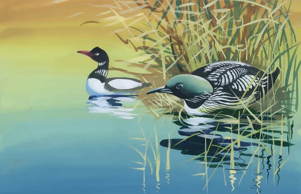 Gänseschwarm schwimmt auf Teich Aquarell Vektor Illustration — Stockvektor