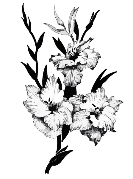 Bellissimo fiore monocromatico, bianco e nero isolato. Linee di contorno disegnate a mano . — Vettoriale Stock