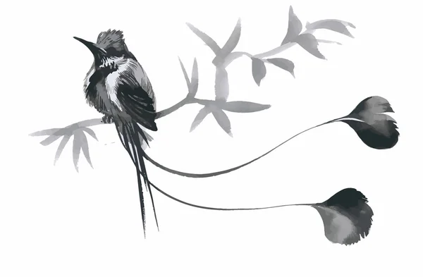 Acquerello uccelli esotici selvatici sui fiori — Vettoriale Stock