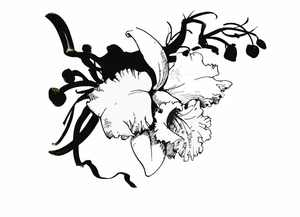 Vacker Monokrom, svart och vit blomma isolerade. Handritade konturlinjer stroke. — Stock vektor