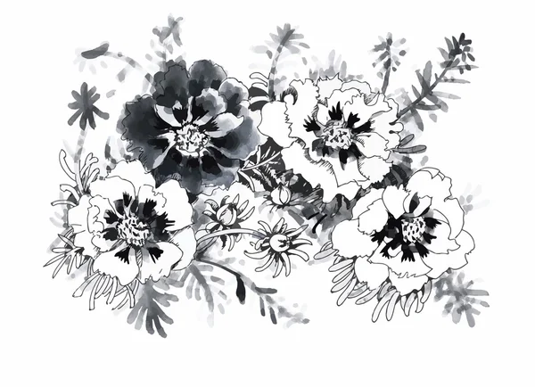 Bellissimo fiore monocromatico, bianco e nero isolato. Linee di contorno disegnate a mano . — Vettoriale Stock