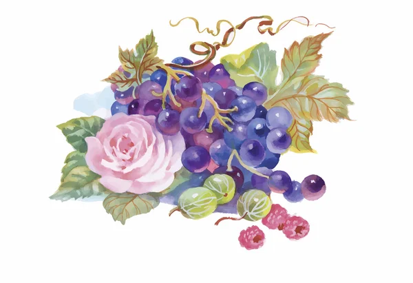 Peinture aquarelle dessinée à la main de raisin et de fleur — Image vectorielle