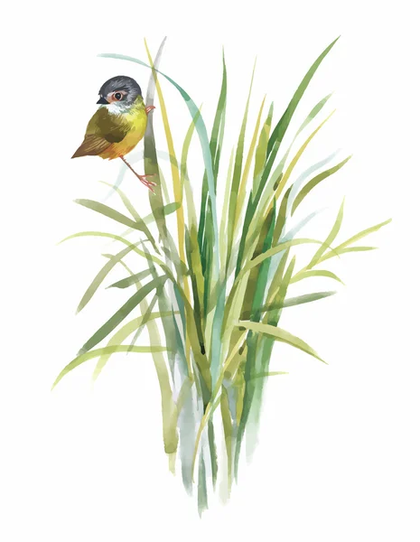 花の水彩画のエキゾチックな野鳥 — ストックベクタ