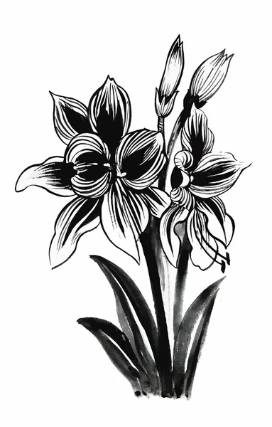 Belle fleur monochrome, noire et blanche isolée. Lignes de contour dessinées à la main coups . — Image vectorielle