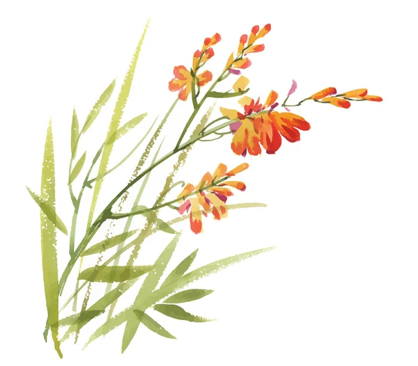 Ακουαρέλα λουλούδια, σε κλασσικό στυλ, σε λευκό φόντο — Διανυσματικό Αρχείο