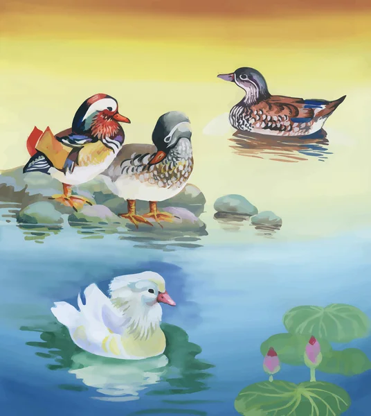 Rebanho de gansos nadando na lagoa ilustração vetor aquarela —  Vetores de Stock