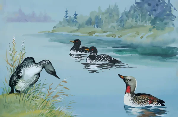 Gänseschwarm schwimmt auf Teich Aquarell Vektor Illustration — Stockvektor