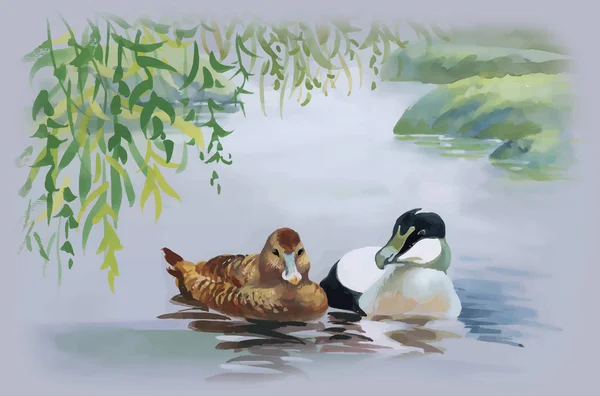 Gänseschwarm schwimmt auf Teich Aquarell Vektor Illustration — Stockvektor