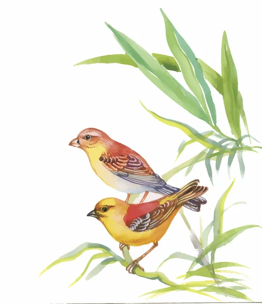 Акварель дикі екзотичні птахи на квітах — стоковий вектор