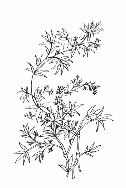 Aquarellblumen im klassischen Stil auf weißem Hintergrund — Stockvektor