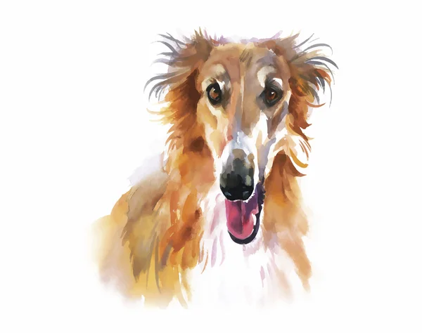 Collie animale cane acquerello illustrazione vettore — Vettoriale Stock