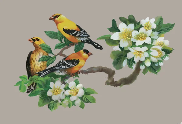 Aquarelle oiseaux exotiques sauvages sur les fleurs — Image vectorielle