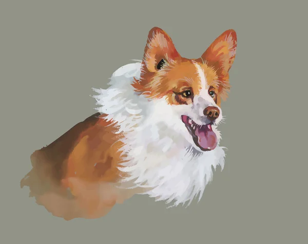 Welsh corgi pembroke djur hund akvarell illustration isolerade på vit bakgrund — Stock vektor