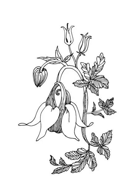 Bela flor monocromática, preta e branca isolada. Linhas de contorno desenhadas à mão traços . — Vetor de Stock