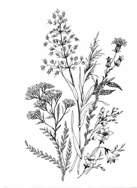 Schöne einfarbige, schwarz-weiße Blume isoliert. handgezeichnete Konturlinien Striche. — Stockvektor