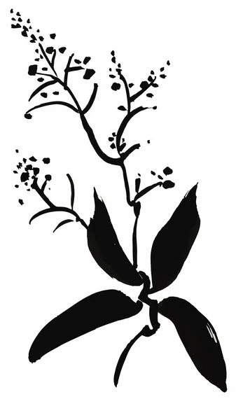 Aquarel tuin bloemen geïsoleerd op een witte achtergrond, Japans stijl vectorillustratie — Stockvector