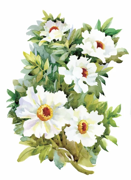 Ακουαρέλα λουλούδια, σε κλασσικό στυλ, σε λευκό φόντο — Διανυσματικό Αρχείο