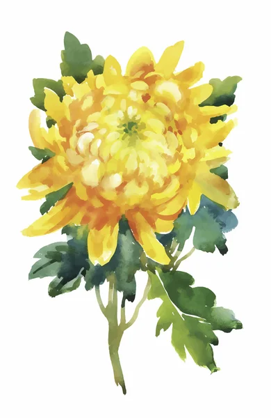 Akvarel květiny v klasickém stylu na bílém pozadí — Stockový vektor