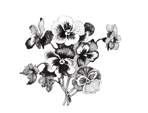 Hermosa flor monocroma, blanca y negra aislada. Líneas de contorno dibujadas a mano . — Archivo Imágenes Vectoriales