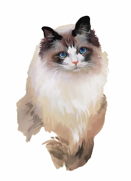 Aquarel Portret van kat illustratie vector — Stockvector