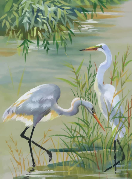 Illustration vectorielle aquarelle Heron birds — Image vectorielle