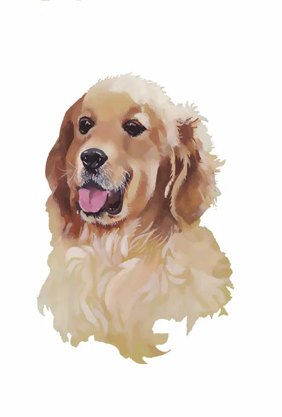 Inglese cocker spaniel animale cane acquerello illustrazione isolato su sfondo bianco vettore — Vettoriale Stock