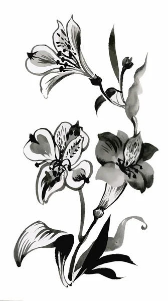 Akvarell trädgård blommor isolerad på vit bakgrund, japansk stil vektor illustration — Stock vektor