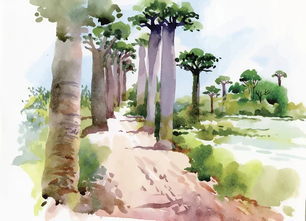Acuarela pintura de verano paisaje parque camino con árboles vector ilustración — Vector de stock