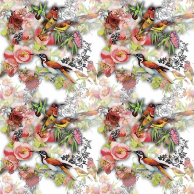 Çiçekler Dikişsiz desen beyaz zemin üzerine suluboya vahşi egzotik kuşlar