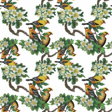 Çiçekler Dikişsiz desen beyaz zemin üzerine suluboya vahşi egzotik kuşlar