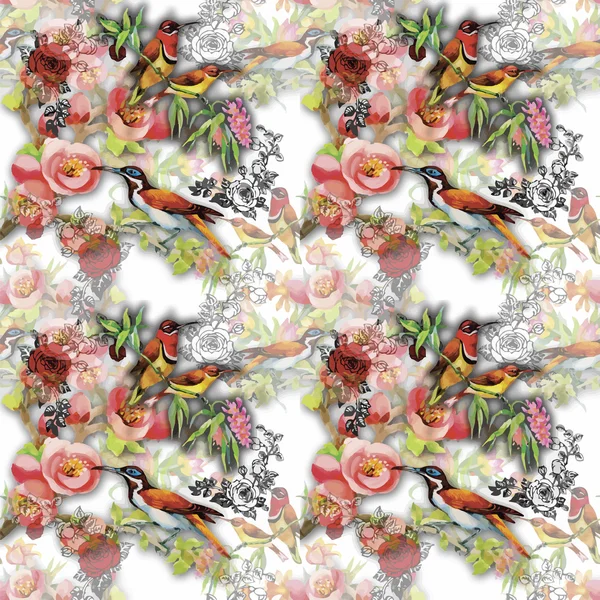 Aquarelle Oiseaux exotiques sauvages sur des fleurs motif sans couture sur fond blanc — Image vectorielle