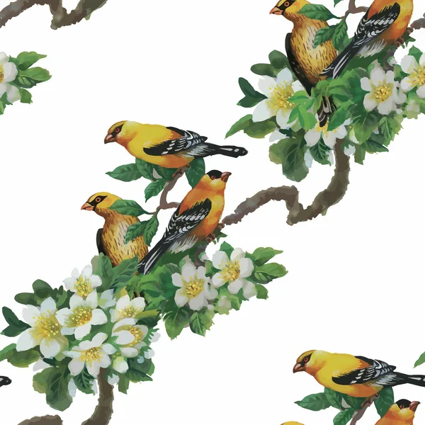 Aquarela Aves exóticas selvagens em flores sem costura padrão no fundo branco —  Vetores de Stock