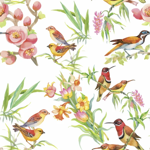 Watercolor Wild exotic birds on flowers seamless pattern on white background — Stock Vector