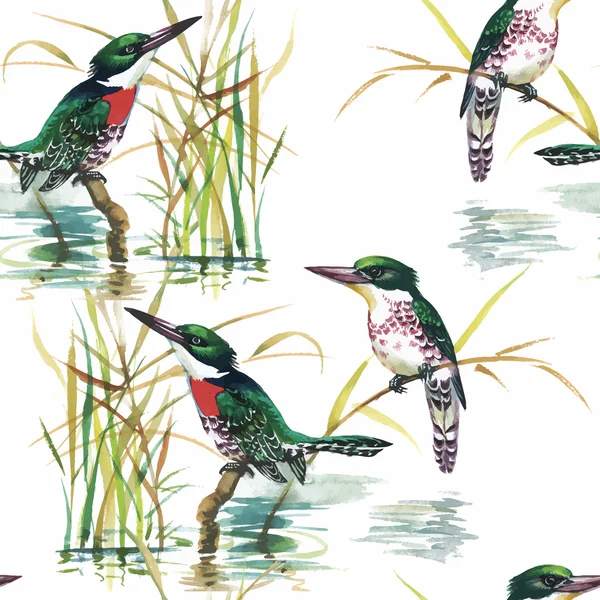 Aquarelle Oiseaux exotiques sauvages sur des fleurs motif sans couture sur fond blanc — Image vectorielle