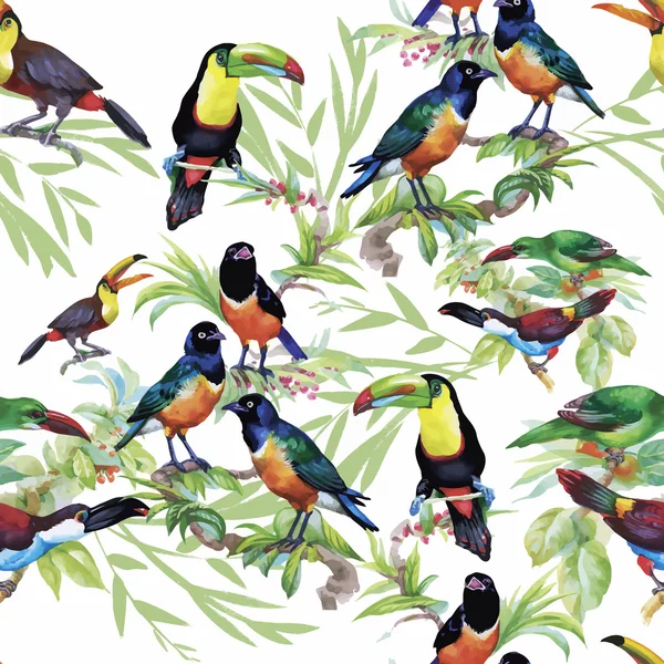 Watercolor Wild exotic birds on flowers seamless pattern on white background — Stock Vector