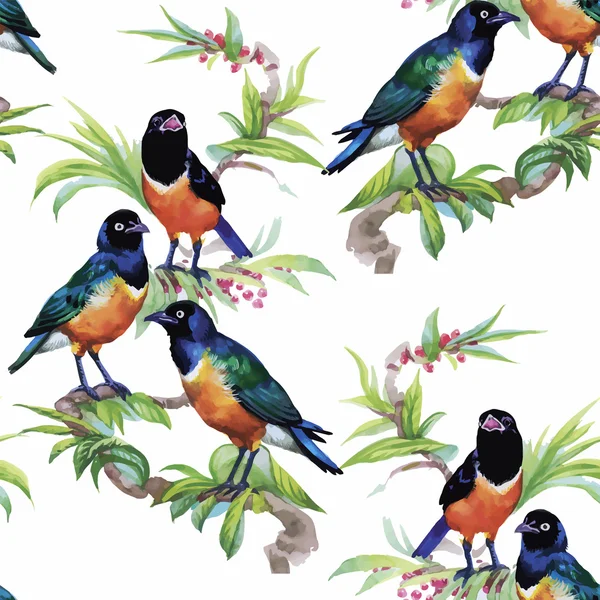 Akvarel divokých exotických ptáků na květiny bezešvé vzor na bílém pozadí — Stockový vektor