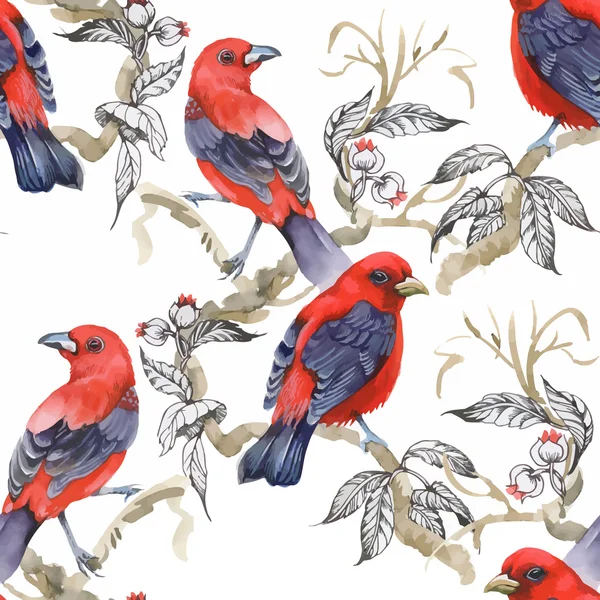Aquarel wilde exotische vogels op naadloze veldboeket patroon op witte achtergrond — Stockvector
